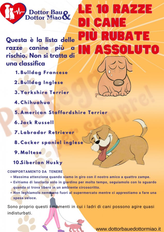 Aumentano 😡 i furti dei cani🐕 in tutta Italia. Qui di seguito nel post troverete le razze più rubate e alcuni consigli utili per prevenire i furti.