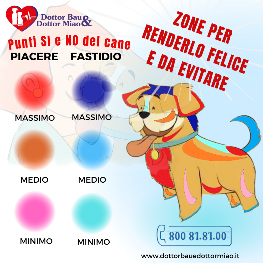 Punti Si e punti NO del cane. Zone per renderlo felice e da evitare.