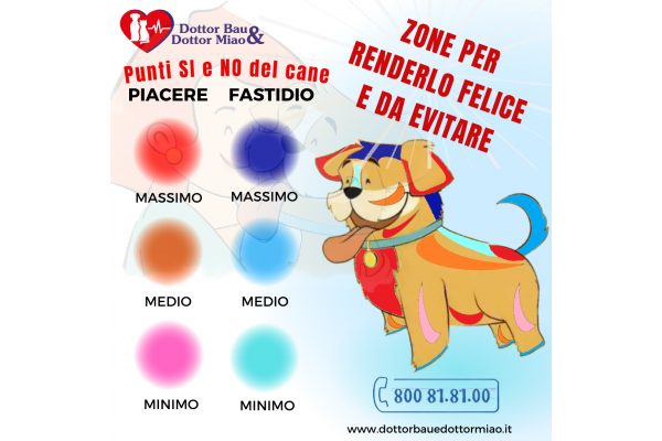 Punti Si e punti NO del cane. Zone per renderlo felice e da evitare.