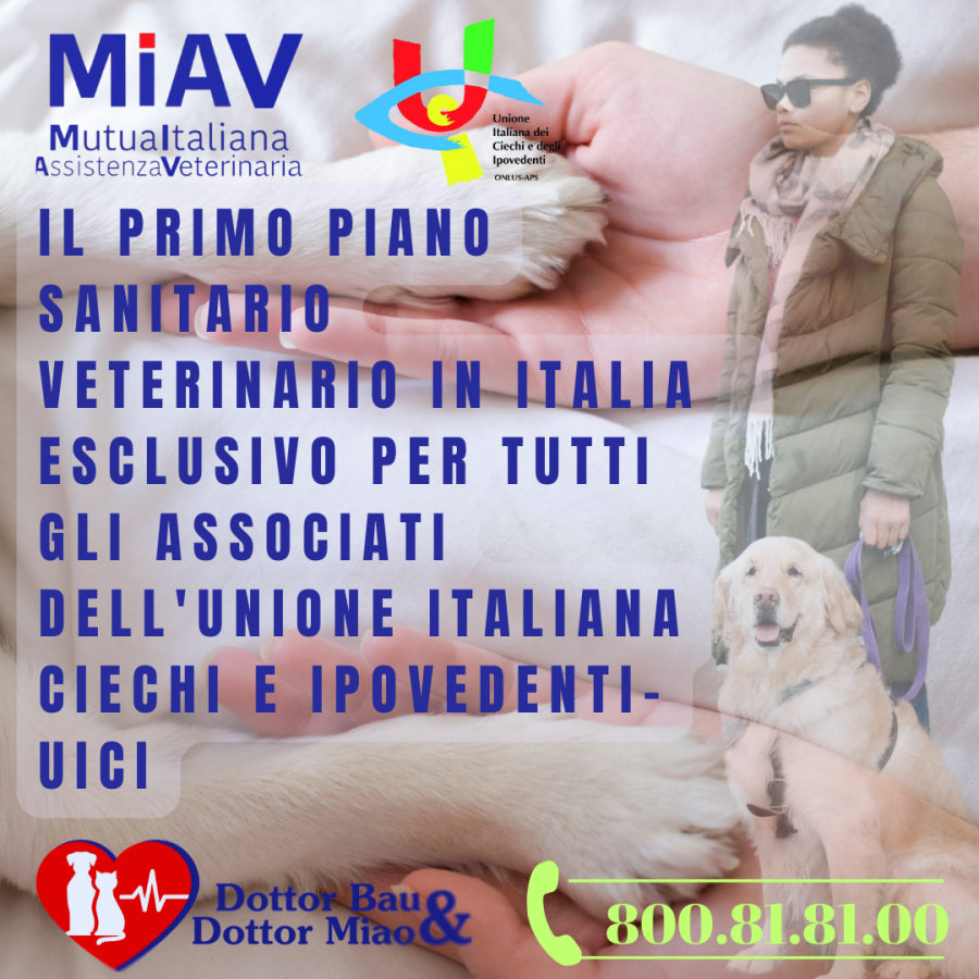 Il primo piano sanitario veterinario in Italia  esclusivo per tutti gli Associati dell'Unione Italiana Ciechi e Ipovedenti-UICI