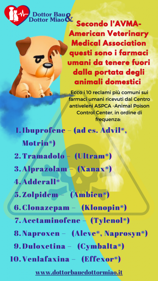 I comuni farmaci umani da tenere fuori dalla portata dei nostri animali domestici. FARE MOLTA ATTENZIONE!!!