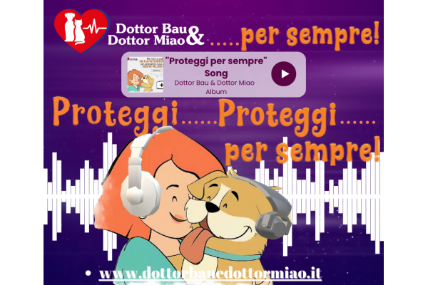 🎵🐾 La Musica e i nostri Amici a Quattro Zampe! 🐾🎵