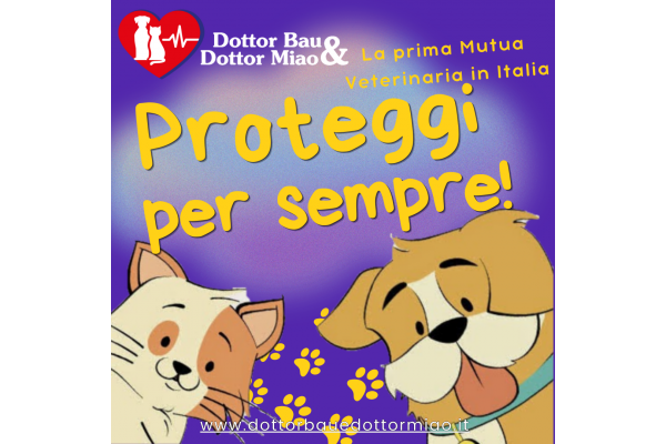 🐾 Conosci le incredibili garanzie per tutta la vita che Dottor Bau & Dottor Miao offre per il tuo animale domestico?