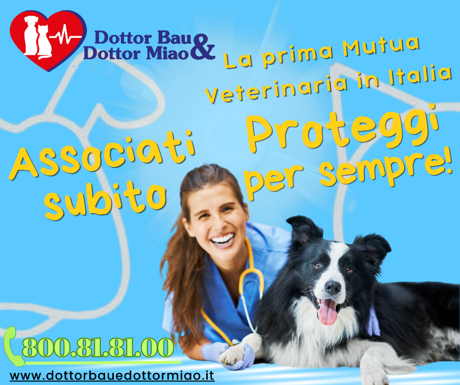 🐾🏥 Alla ricerca di una Mutua Veterinaria affidabile per il tuo amato pelosetto? Non cercare oltre! Dottor Bau & Dottor Miao è qui per te! 🐶😺