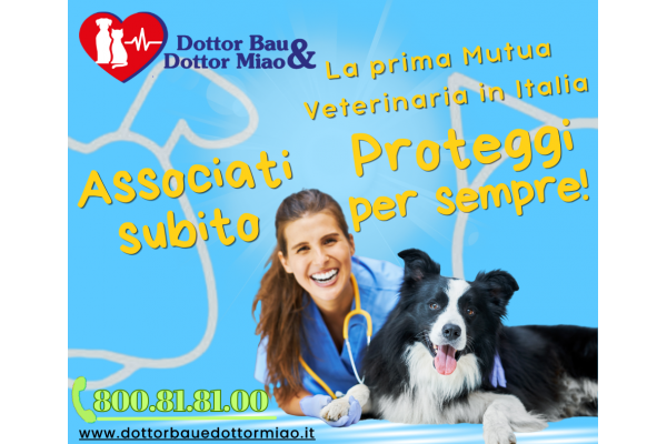 🐾🏥 Alla ricerca di una Mutua Veterinaria affidabile per il tuo amato pelosetto? Non cercare oltre! Dottor Bau & Dottor Miao è qui per te! 🐶😺