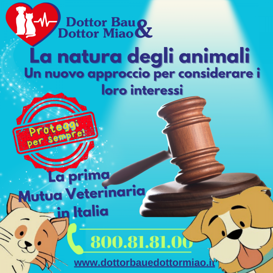 🐾💼 La natura degli animali: un nuovo approccio per considerare i loro interessi. 🐾💼