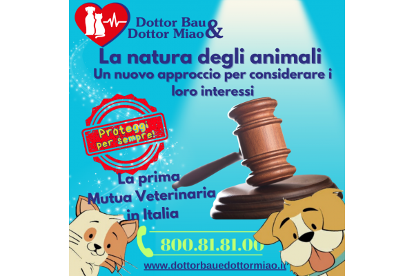 🐾💼 La natura degli animali: un nuovo approccio per considerare i loro interessi. 🐾💼