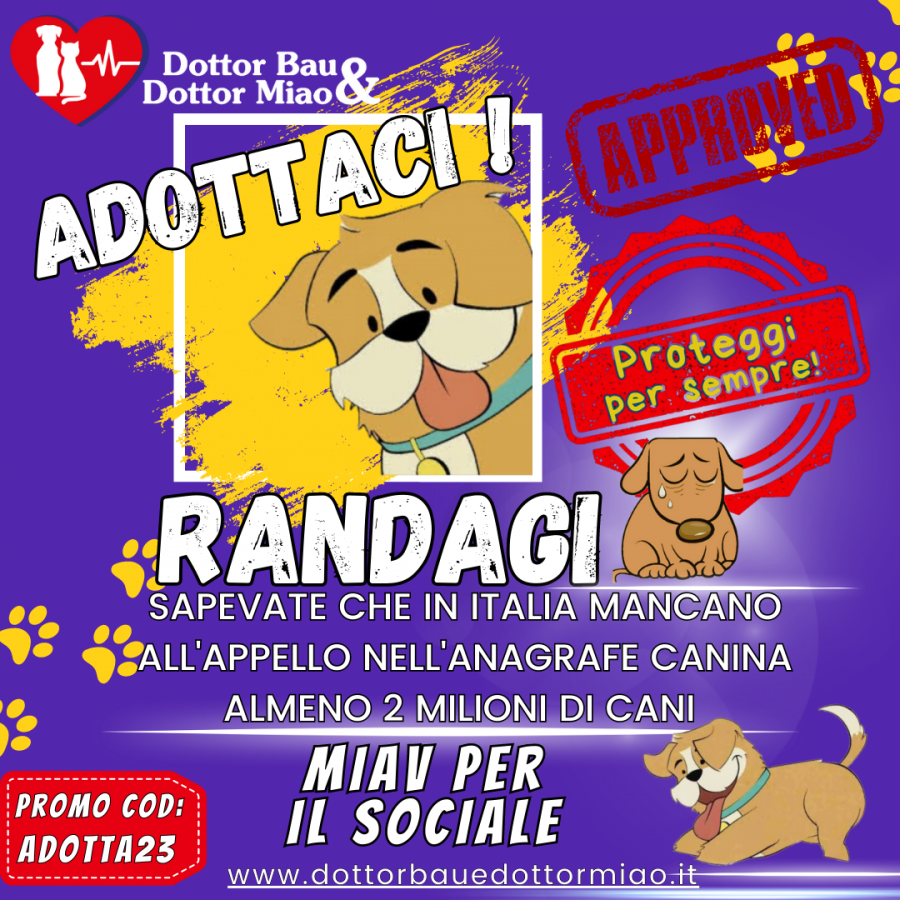 🐕 Randagi: Sapevate che in Italia mancano all'appello nell'anagrafe canina almeno 2 milioni di cani