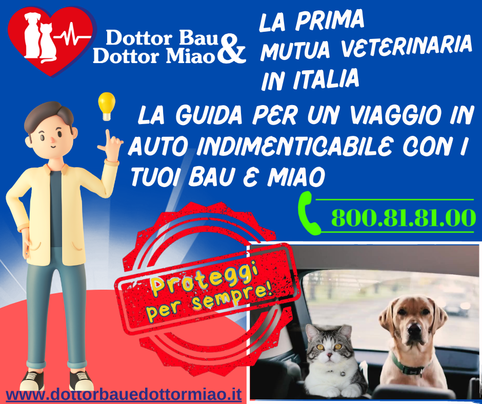 🐶🐱 Affrontiamo l’odissea dei viaggi in auto con i nostri amici pelosi