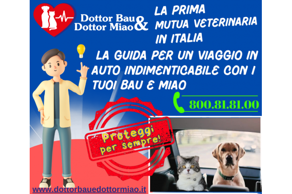 🐶🐱 Affrontiamo l’odissea dei viaggi in auto con i nostri amici pelosi