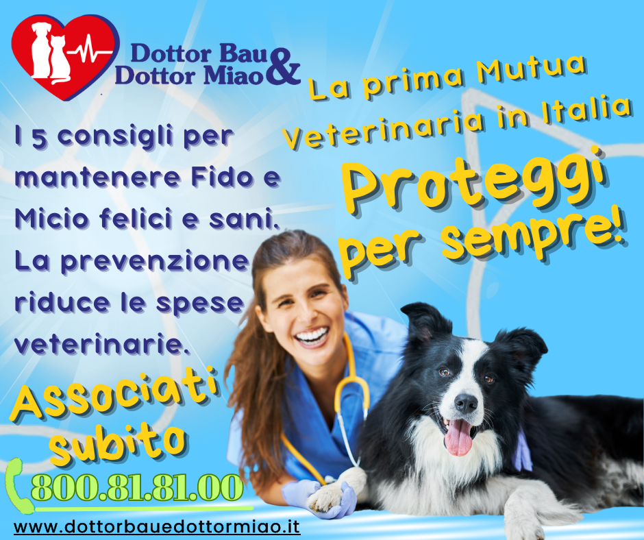 Ecco 5 consigli per mantenere Fido e Micio felici e sani. La prevenzione riduce le spese veterinarie. 🐾🏥