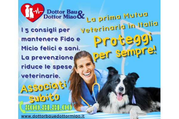 Ecco 5 consigli per mantenere Fido e Micio felici e sani. La prevenzione riduce le spese veterinarie. 🐾🏥