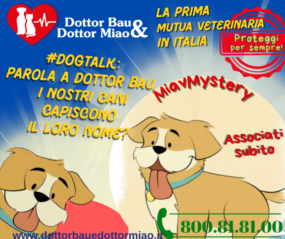 #DogTalk: Parola a Dottor Bau, i nostri cani capiscono il loro nome? 🐾