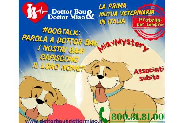 #DogTalk: Parola a Dottor Bau, i nostri cani capiscono il loro nome? 🐾