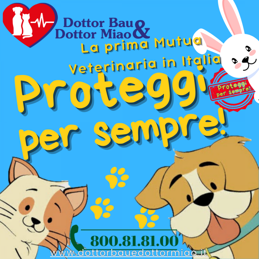 📣 ATTENZIONE! A tutti gli amanti degli animali e non... Vi presentiamo la MIAV, l'ultima rivoluzione nel mondo del miao e del bau! 🐾🚀