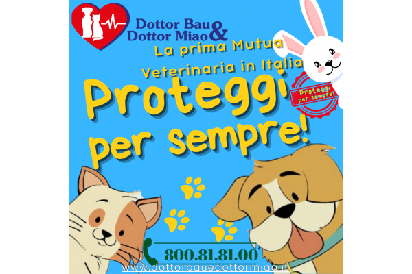 📣 ATTENZIONE! A tutti gli amanti degli animali e non... Vi presentiamo la MIAV, l'ultima rivoluzione nel mondo del miao e del bau! 🐾🚀