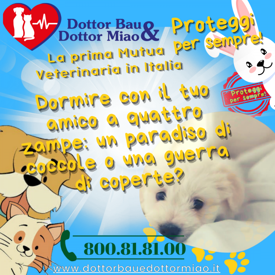 🛌💤 **Dormire con il tuo amico a quattro zampe: un paradiso di coccole o una guerra di coperte?** 🐶🌙