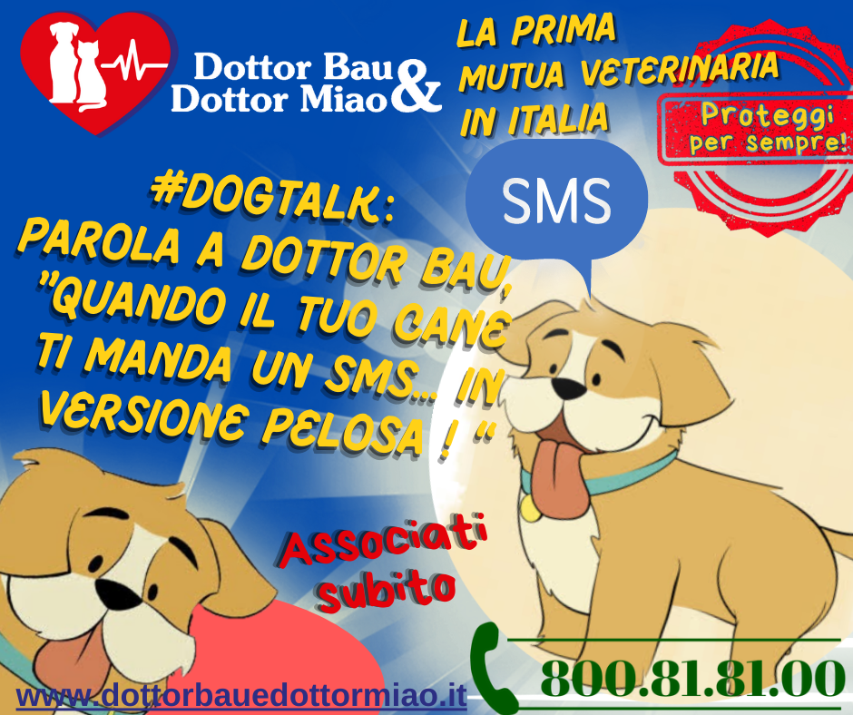 #DogTalk :🐾 Dottor Bau presenta: 