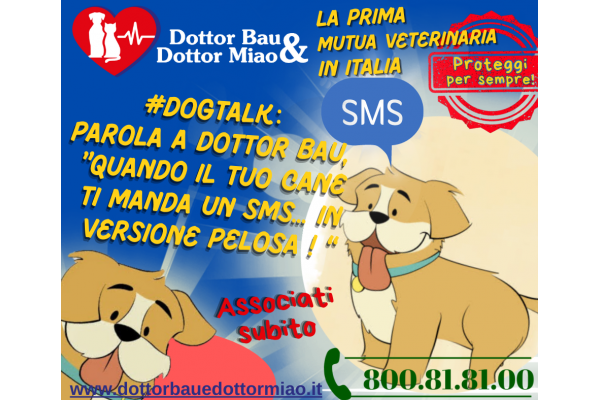 #DogTalk :🐾 Dottor Bau presenta: 