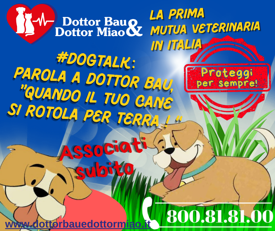 **#DogTalk🐾:** Avete mai visto il vostro amico peloso rotolarsi a terra come se stesse facendo una coreografia per un talent show?