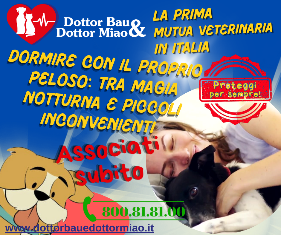 Dormire con il proprio peloso: tra magia notturna e piccoli inconvenienti 🌙🐕