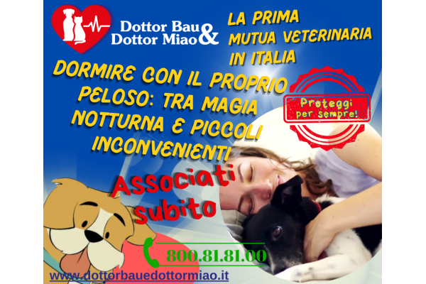 Dormire con il proprio peloso: tra magia notturna e piccoli inconvenienti 🌙🐕