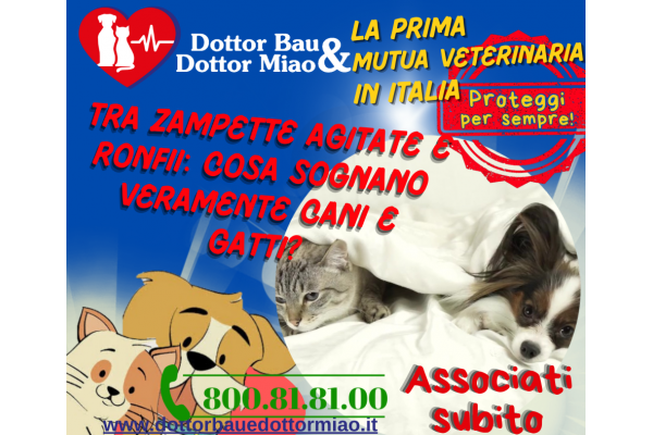 🐾Tra Zampette Agitate e Ronfii: Cosa Sognano Veramente Cani e Gatti? 🐶🐱