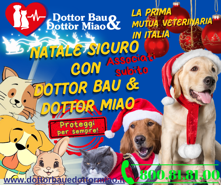 🎄🐾Natale Sicuro con Dottor Bau & Dottor Miao!🐾🎄