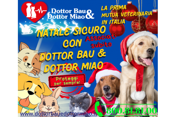 🎄🐾Natale Sicuro con Dottor Bau & Dottor Miao!🐾🎄