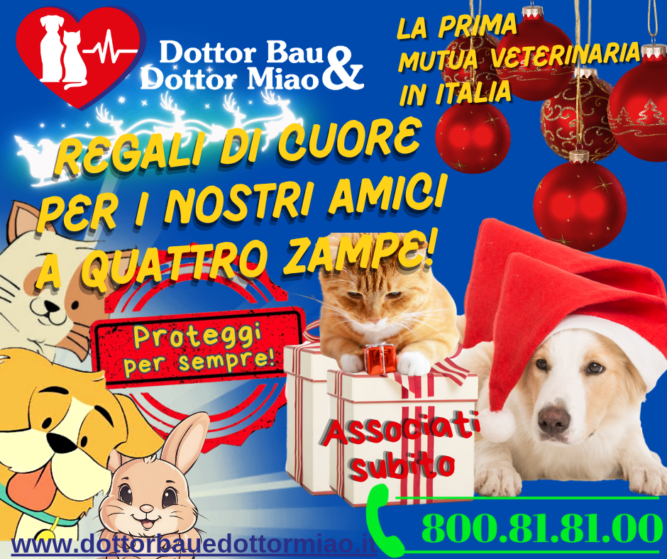 🐾🎄 Natale con Dottor Bau e Dottor Miao: Regali di Cuore per i Nostri Amici a Quattro Zampe! 🎁❤️🍖