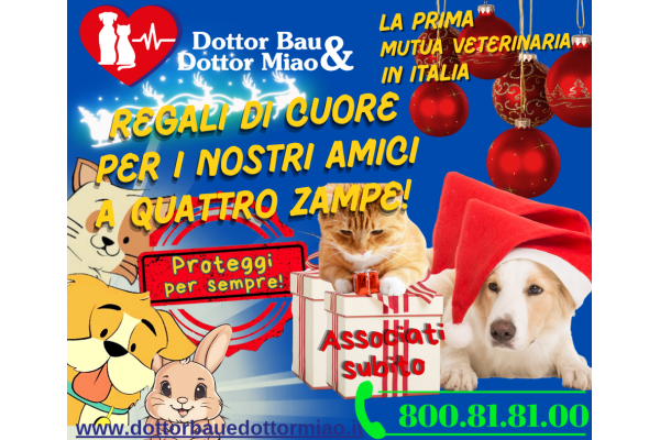 🐾🎄 Natale con Dottor Bau e Dottor Miao: Regali di Cuore per i Nostri Amici a Quattro Zampe! 🎁❤️🍖