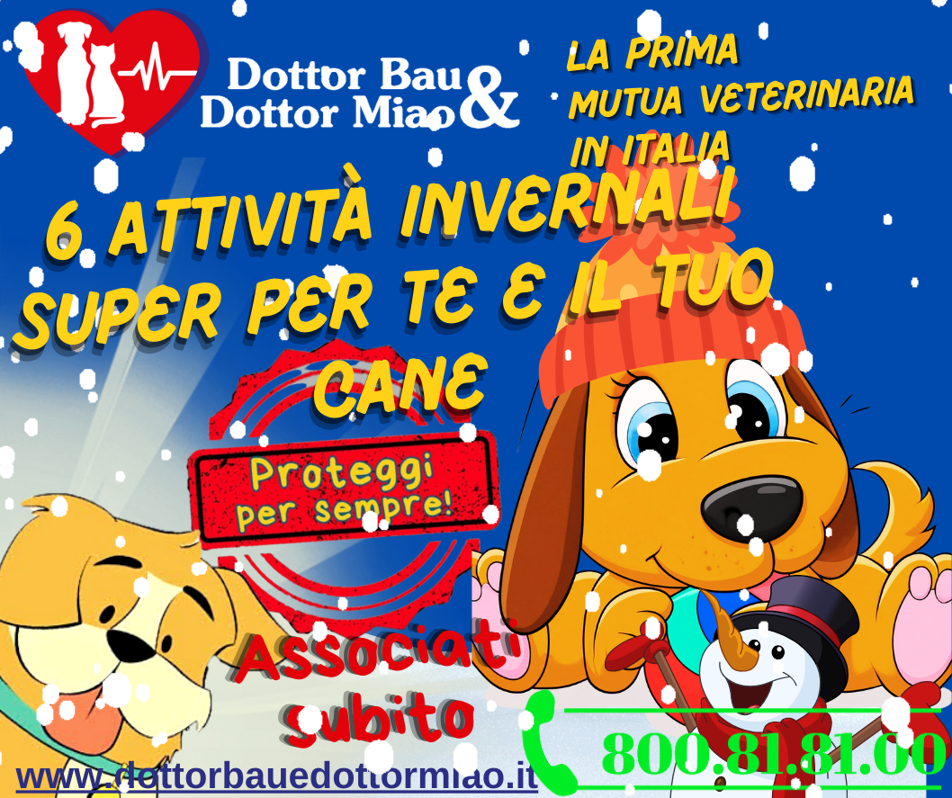 🐾 6 Attività Invernali Super per Te e il Tuo Cane🐾