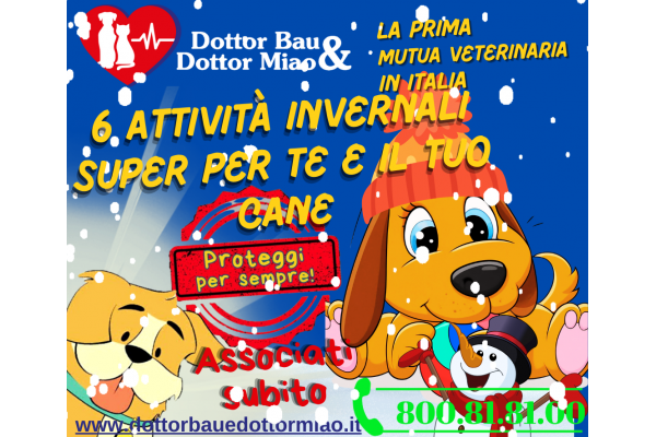 🐾 6 Attività Invernali Super per Te e il Tuo Cane🐾