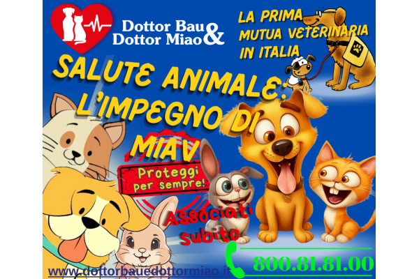 Salute Animale: L'Impegno di MIAV