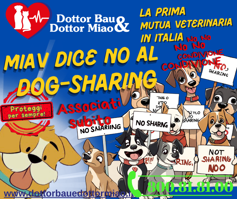 MIAV Dice No al Dog-Sharing