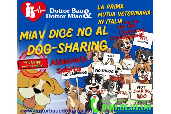 MIAV Dice No al Dog-Sharing