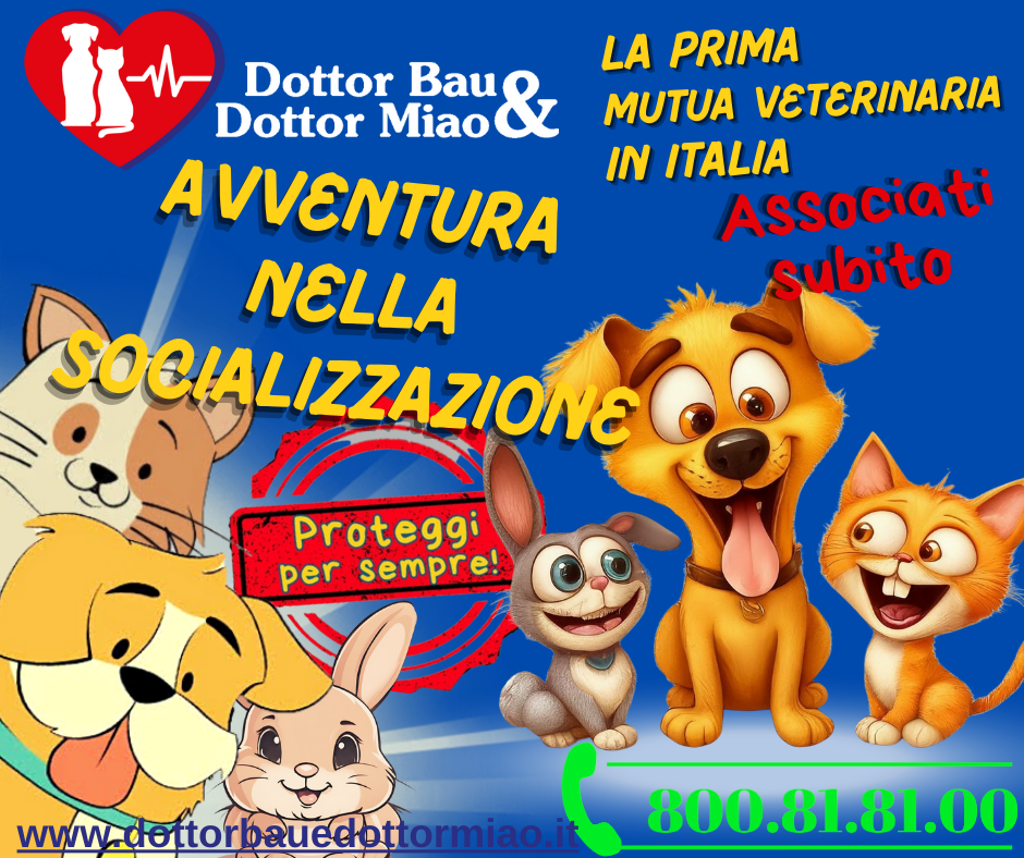 🐾 Avventura nella Socializzazione con Dottor Bau & Dottor Miao 🌟