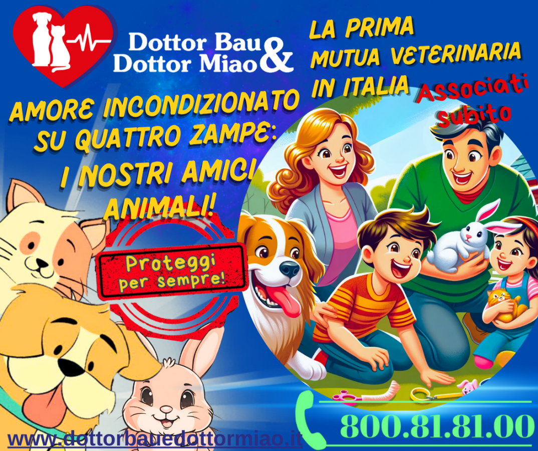 🐾💖 Amore Incondizionato su Quattro Zampe:  I Nostri Amici Animali! 🐾💖