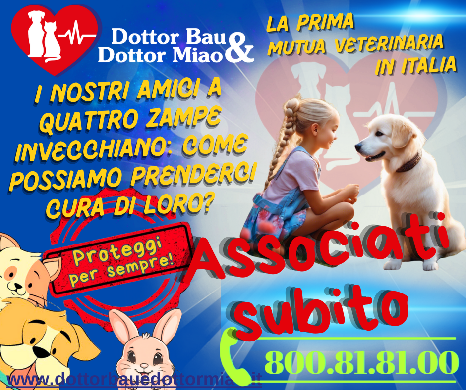 🐾 Anche i nostri amici a quattro zampe invecchiano: come possiamo prenderci cura di loro? 🐶❤️