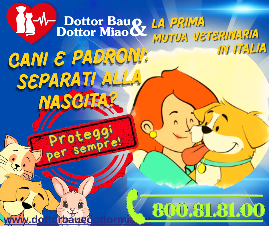 🐾 Cani e padroni: separati alla nascita? 🐶👫