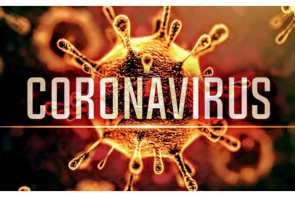 Coronavirus : cani e gatti