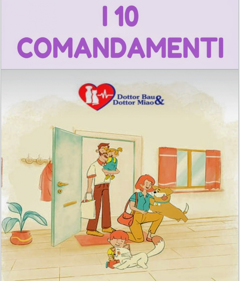 I dieci comandamenti per essere un buon pet lover