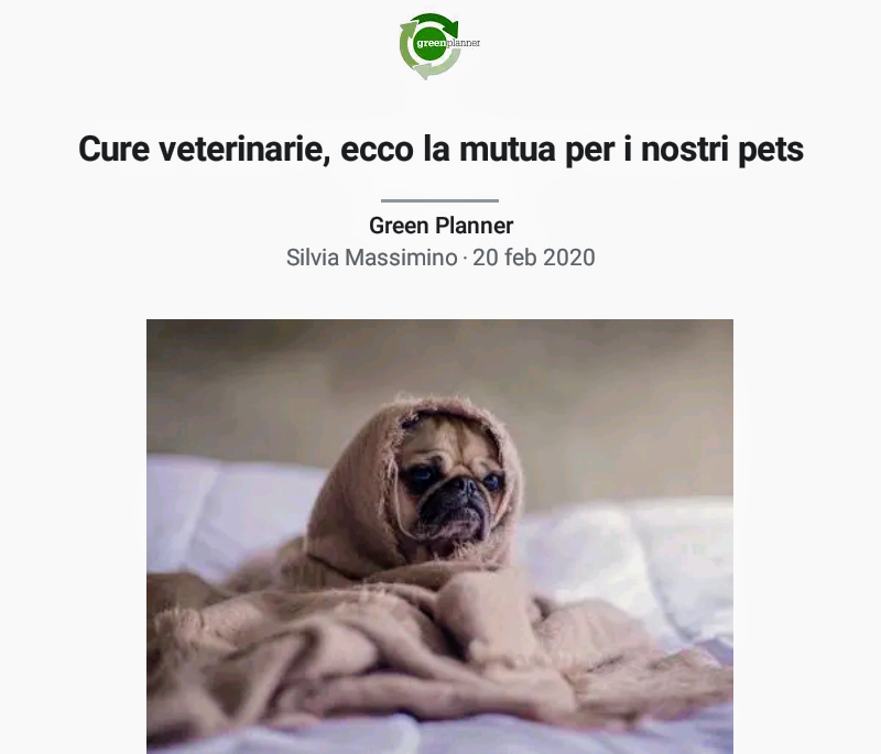 Cure Veterinarie, ecco la Mutua per i nostri pet